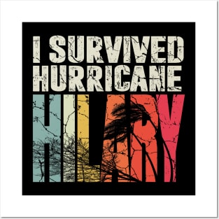 I survived the Hurricane Idalia Posters and Art